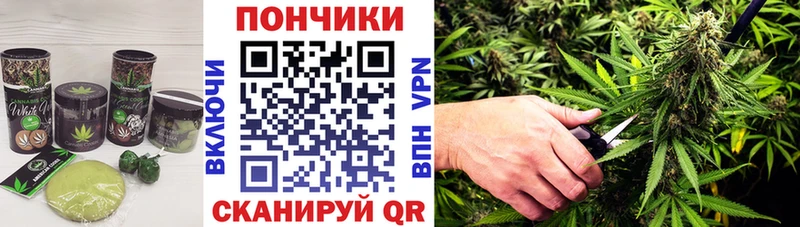 магазин  наркотиков  Сковородино  Canna-Cookies марихуана 