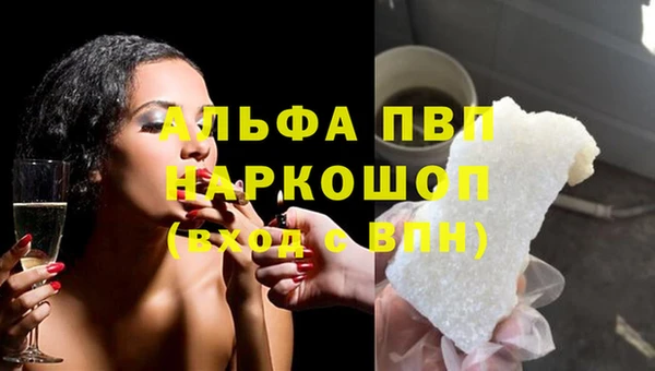 стаф Баксан
