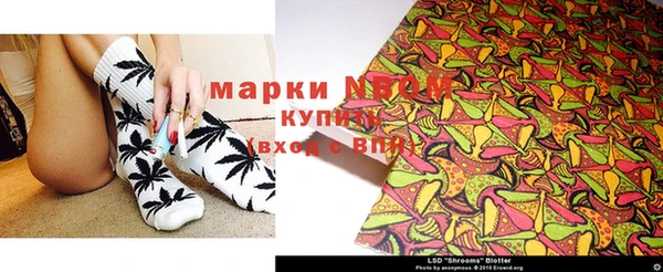 стаф Баксан