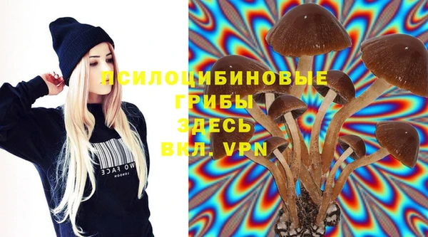 гидропоника Балахна