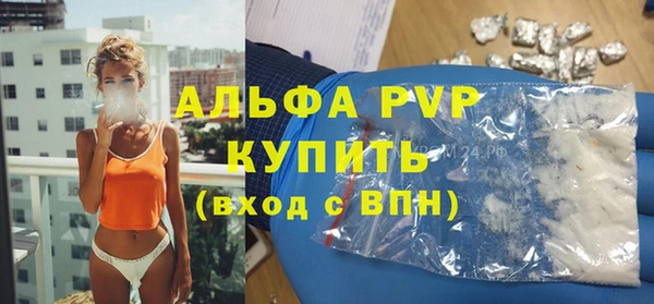 стаф Баксан