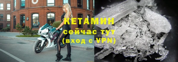 прущие грибы Дмитров