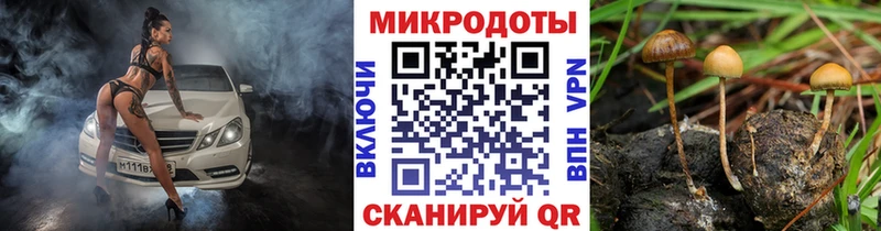 Галлюциногенные грибы Psilocybine cubensis  Сковородино 