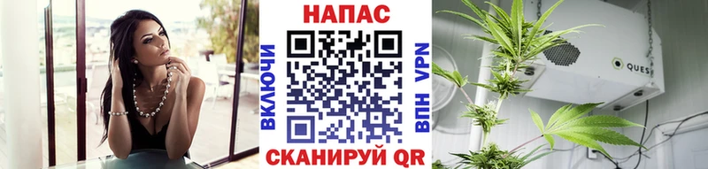 Каннабис планчик  магазин продажи наркотиков  кракен сайт  Сковородино 